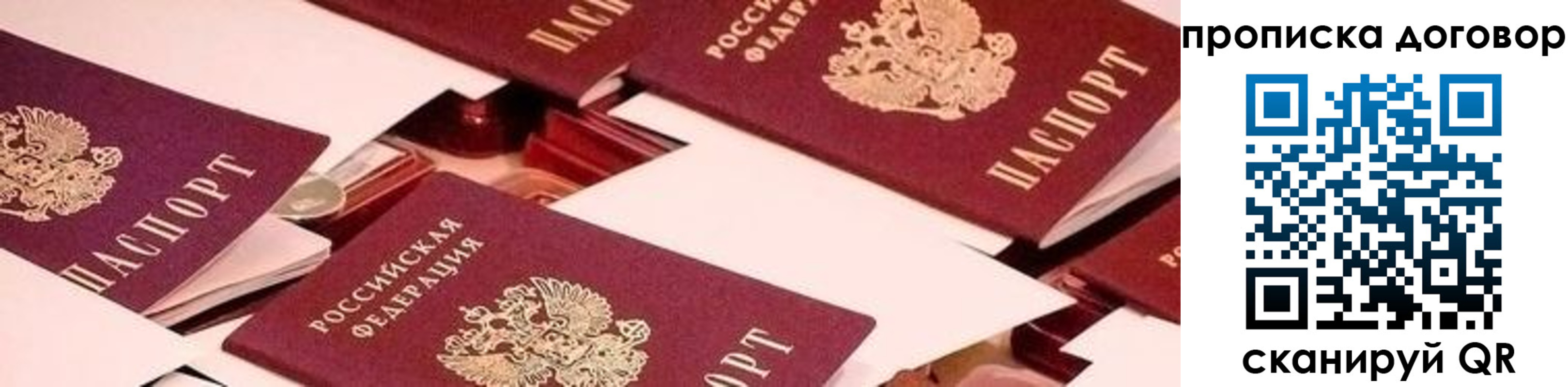 прописка 2025 в Нелидово